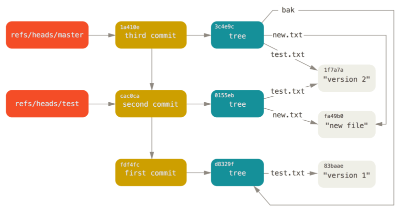 Le répertoire d’objets de Git avec les références de branches
incluses.